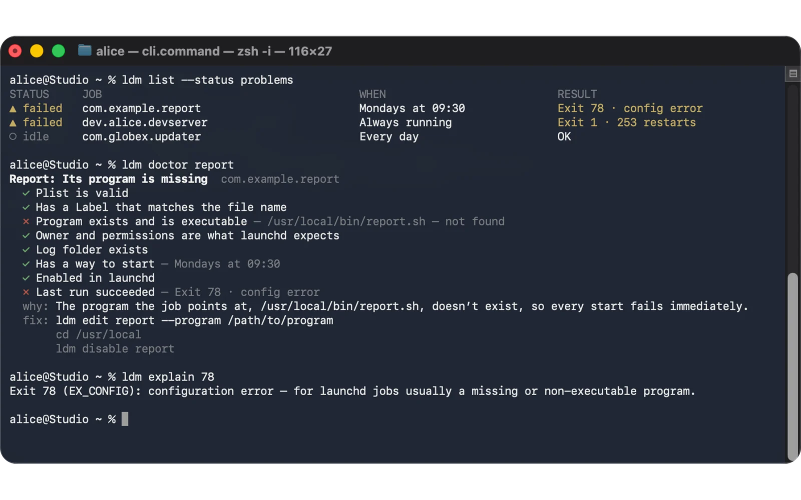 A Terminal window: ldm list --status problems shows two failed jobs, ldm doctor report lists its checks with why and fix lines, and ldm explain 78 explains EX_CONFIG.
